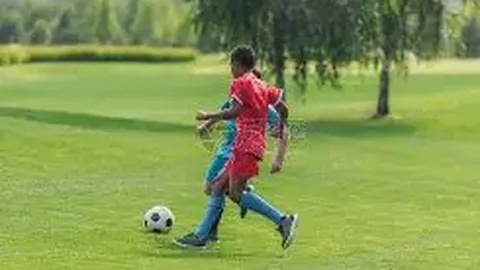 金宝博203bet体育 产品 105937 doo