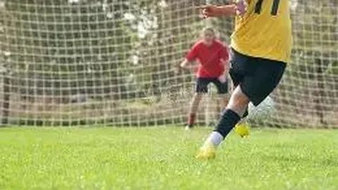 金宝博203bet体育 产品 110040 r2s